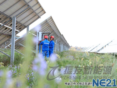 寧夏中衛(wèi)光伏電站項目