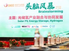 新年展新“綠”，“綠電”制氫加速！ SNEC氫能產(chǎn)業(yè)聯(lián)盟2022(第一季度)頭腦風(fēng)暴隆重舉行