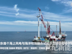 山東首個(gè)海上風(fēng)電與海洋牧場(chǎng)融合試驗(yàn)項(xiàng)目全部風(fēng)機(jī)吊裝完成 即將并網(wǎng)！