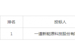 中標(biāo) | 0.704元/W！一道預(yù)中標(biāo)中石化水面光伏及綠電制綠氫雙面光伏組件\單晶610Wp項目