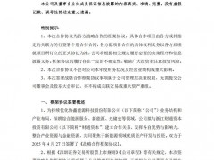 聚焦于新能源領(lǐng)域優(yōu)質(zhì)資產(chǎn)開發(fā)與投資！協(xié)鑫能科與專業(yè)投資機構(gòu)簽署戰(zhàn)略合作框架協(xié)議