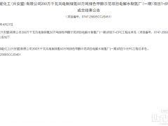 國內(nèi)碳一龍頭，中標(biāo)金風(fēng)首個(gè)商業(yè)化綠甲醇項(xiàng)目電解水T+EPC