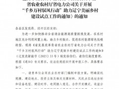 遼寧盤山縣開展“馭風(fēng)行動”試點(diǎn)項(xiàng)目優(yōu)選！