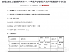 198萬(wàn)元/臺(tái)！浙江海上風(fēng)電風(fēng)機(jī)安裝項(xiàng)目開(kāi)標(biāo)