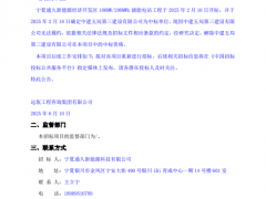 中標人無法履約？寧夏100MW/200MWh儲能電站EPC擬重新招標